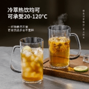 Acrylic Beer Mugs